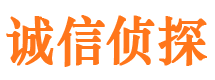 象州私家调查公司